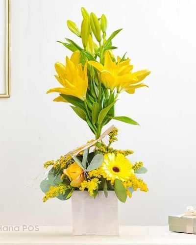 If you like modern and stylish bouquets, then the Topiary Sunshine flower arrangement will surely impress you. This unique and exceptional flower arrangement is made of gerbera, rose, and lily, all in bright yellow colors. This will spruce up your home décor in a jiffy. You can also send it to your loved ones as a “Get well soon” gift or a “Congratulations” flower bouquet.