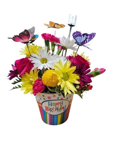 A mix of mini carnations, daisies and roses arrive in melamine 4inch pot decorated with birthday script and butterflies. 
*** local delivery only ***