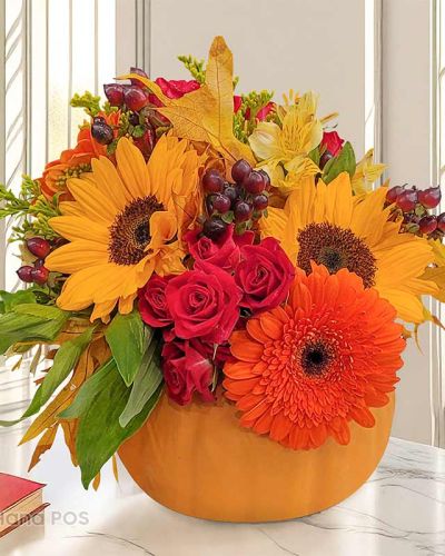 Catch the essence of fall season with this beautiful flower bouquet. The Bloomin Pumpkin flower arrangement comes with Sunflower, Yellow Gerbera, Red Rose, and Hypericum berries and assorted greeneries in a pumpkin shaped flower vase. This orange-yellow bouquet will be the perfect addition to your Thanksgiving table or Halloween flower décor.