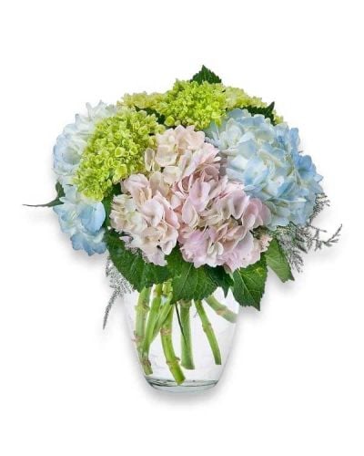 A clear vase filled with beautiful hydrangeas.