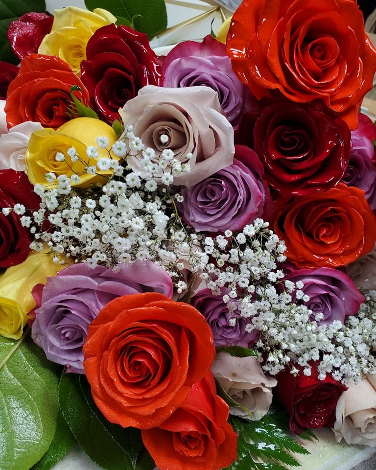 Assorted Rose Dozen - Medium Stem | Bloomingdays Flower Shop & Flower  Delivery - Tampa, FL