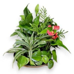 Blooming Garden Planter