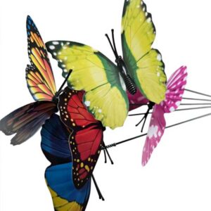 Butterflies Add On