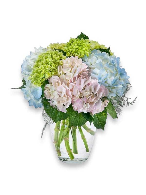 Charmed Flower Arrangement