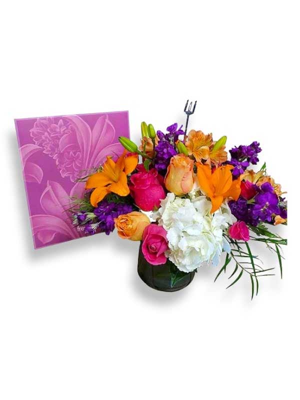 Hoopla with Pop up Card