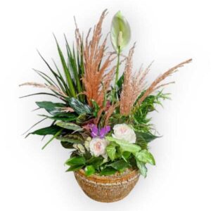 Premium Garden Planter