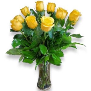Rays of Sunshine Roses
