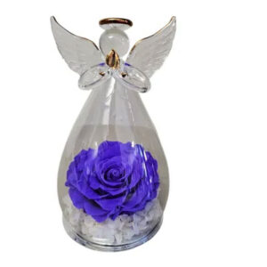 Preserved Rose in Angel Dome