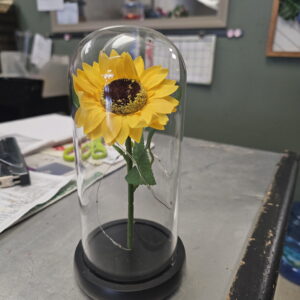 Sunflower Dome