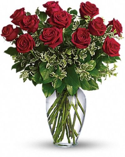 <p>Your Love & Devotion delivered. Surprise your special one with this gorgeous arrangement of red roses available in one,one and a half, two or three dozen. It's an unforgettable display of your timeless love.</p>