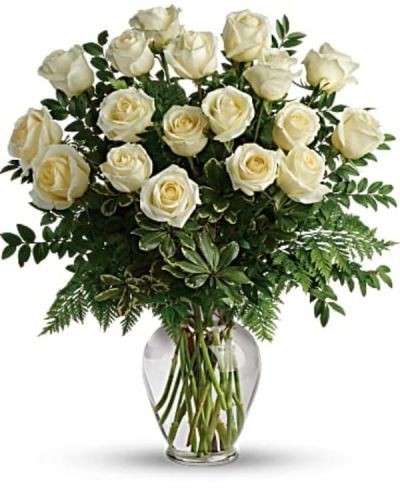 <p>Your Love & Devotion delivered. Surprise your special one with this gorgeous arrangement of white roses.</p>
<p>It’s a an unforgettable display of your timeless love that they'll always remember.</p>