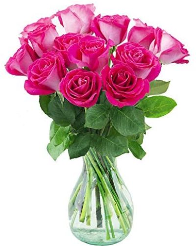 <p>Your Love & Devotion delivered. Surprise your special one with this gorgeous arrangement of hot pink roses.</p>
<p>It’s an unforgettable display of your timeless love that they'll always remember.</p>