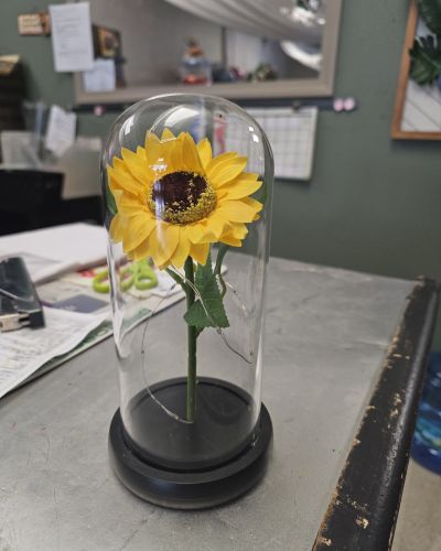 <p>Preserved sunflower under a dome with lights</p>
<p>Local delivery only</p>